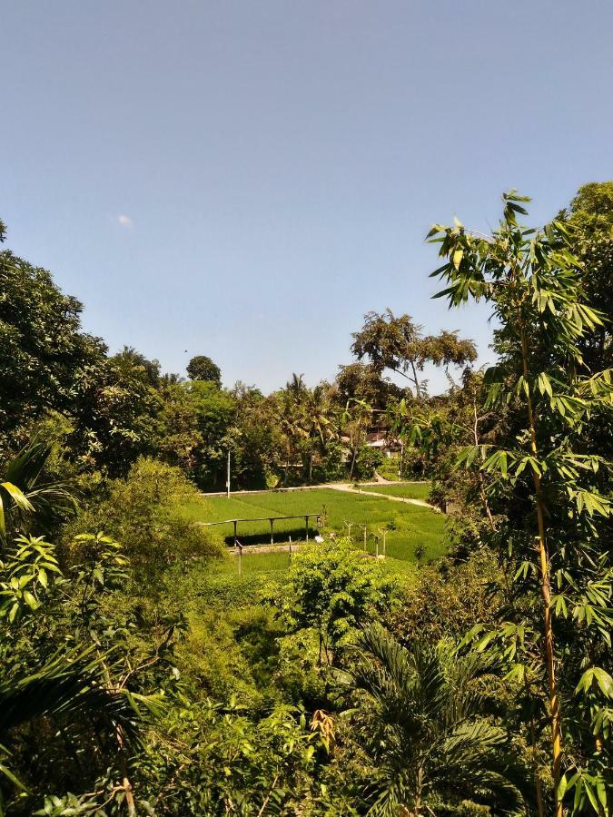 Prasanti Bed & Breakfast Ubud  Ngoại thất bức ảnh